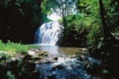 Atherton Tablelands Pepina Falls-Pepina_Falls-Millaa Millaa-TTNQ.jpg